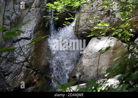 Bivongi RC - Fiumara Stilaro , vallon Folea crédit : Giuseppe Andidero Banque D'Images