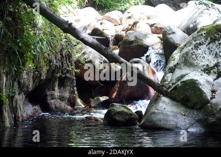 Bivongi RC - Fiumara Stilaro , vallon Folea crédit : Giuseppe Andidero Banque D'Images