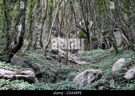 Bivongi RC - Fiumara Stilaro , vallon Folea crédit : Giuseppe Andidero Banque D'Images