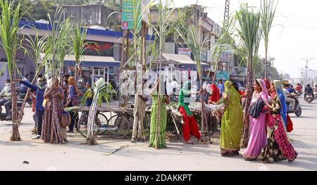 Beawar, Rajasthan, Inde, 13 novembre 2020: Des femmes Rajasthani achètent de la canne à sucre pour la déesse Laxmi Puja à la veille du festival Diwali à Beawar. Diwali ou Deepavali marque le triomphe du bien sur le mal et le plus grand festival hindou, le plus brillant et le plus important de l'Inde. Crédit : Sumit Saraswat/Alay Live News Banque D'Images