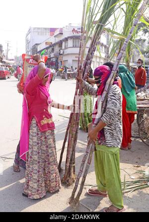 Beawar, Rajasthan, Inde, 13 novembre 2020: Des femmes Rajasthani achètent de la canne à sucre pour la déesse Laxmi Puja à la veille du festival Diwali à Beawar. Diwali ou Deepavali marque le triomphe du bien sur le mal et le plus grand festival hindou, le plus brillant et le plus important de l'Inde. Crédit : Sumit Saraswat/Alay Live News Banque D'Images