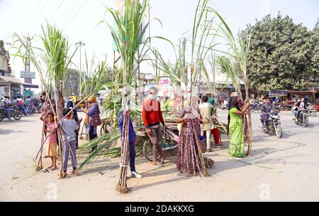 Beawar, Rajasthan, Inde, 13 novembre 2020 : vendeur Rajasthani vendant de la canne à sucre pour la déesse Laxmi Puja à la veille du festival Diwali à Beawar. Diwali ou Deepavali marque le triomphe du bien sur le mal et le plus grand festival hindou, le plus brillant et le plus important de l'Inde. Crédit : Sumit Saraswat/Alay Live News Banque D'Images