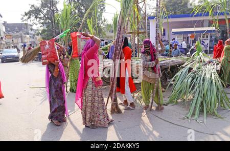 Beawar, Rajasthan, Inde, 13 novembre 2020: Des femmes Rajasthani achètent de la canne à sucre pour la déesse Laxmi Puja à la veille du festival Diwali à Beawar. Diwali ou Deepavali marque le triomphe du bien sur le mal et le plus grand festival hindou, le plus brillant et le plus important de l'Inde. Crédit : Sumit Saraswat/Alay Live News Banque D'Images