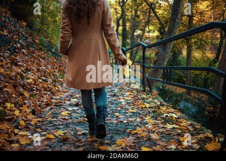 Bonjour automne. Vue de l'arrière de la femme d'âge moyen dans un manteau beige et un chapeau orange avec des feuilles jaunes d'automne visite à pied à l'extérieur dans le parc de la ville à Autum Banque D'Images