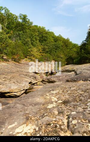 Paysage le long du sentier de randonnée de Bell Smith Springs dans la forêt nationale de Shawnee. Banque D'Images