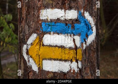Flèches jaunes et bleues traditionnelles indiquant les différentes routes touristiques dans la forêt près du village de Želízy en Bohême centrale, République tchèque. Banque D'Images