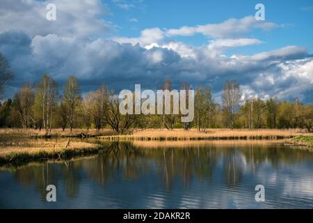 Paysage de printemps russe avec des réflexions d'arbres dans le lac. Banque D'Images