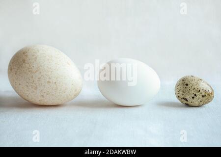 Lanterne en pierre au printemps dans un jardin japonais. Banque D'Images