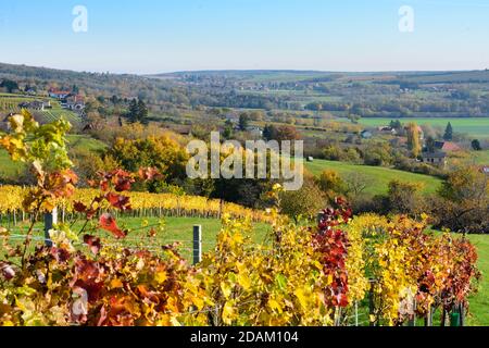 Rechnitz: Vignoble Weingebirge, maison, Südburgenland, Burgenland, Autriche Banque D'Images