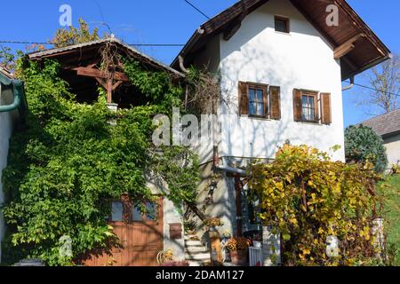 Rechnitz: Maison historique dans le vignoble Weingebirge, Südburgenland, Burgenland, Autriche Banque D'Images