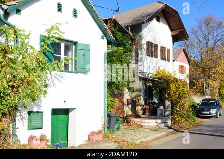 Rechnitz: Maison historique dans le vignoble Weingebirge, Südburgenland, Burgenland, Autriche Banque D'Images