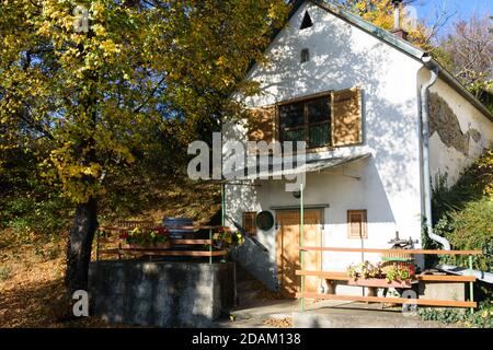 Rechnitz: Maison historique dans le vignoble Weingebirge, Südburgenland, Burgenland, Autriche Banque D'Images