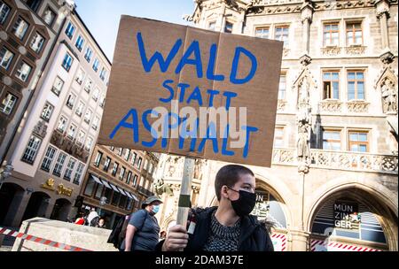 Munich, Bavière, Allemagne. 13 novembre 2020. Vendredi pour l'avenir l'Allemagne est revenue dans les rues pendant la deuxième vague de coronavirus pour protester contre le défrichement de la forêt de DannenrodÂ (Dannenr Forst). Les manifestants se sont emparés de Marienplatz jusqu'aux bureaux du Parti Vert où trois manifestants ont gravi un arbre et ont accroché une bannière, ce qui a finalement abouti à une réponse de la police qui a été initialement résolue pacifiquement jusqu'à ce que des officiers en civil non identifiés aient tenté une arrestation sans s'identifier selon les témoins. La forêt est actuellement en cours de propreté pour l'Aut Banque D'Images