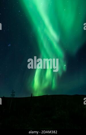 Aurores boréales, Aurora Borealis, Alaska Banque D'Images