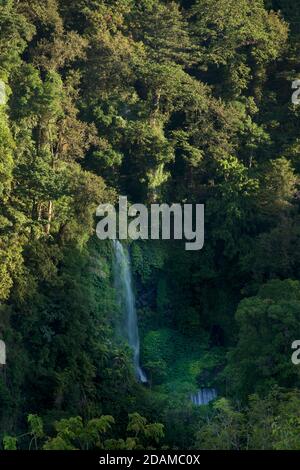 Cascade sur les pentes inférieures du mont Rinjani, Lombok, Indonésie Banque D'Images