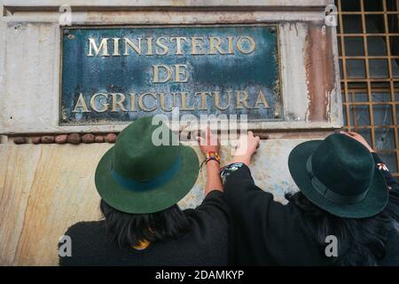 Bogota, Colombie. 13 novembre 2020. Les paysans et les producteurs de pommes de terre colombiens se sont mobilisés ce vendredi à Bogota pour exiger des « solutions réelles » du gouvernement à la crise dans le secteur qui les a forcés à vendre leur production sur les routes et les péages du pays pour amortir les pertes économiques. Crédit : Daniel Garzon Herazo/ZUMA Wire/Alay Live News Banque D'Images