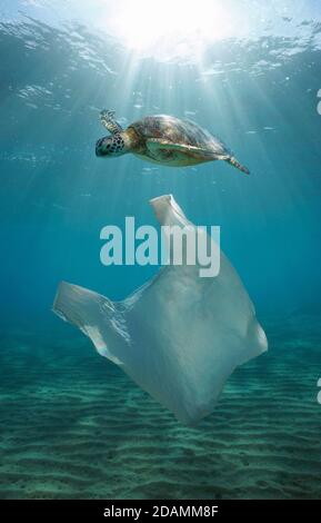 Pollution plastique sous l'eau, un sac en plastique avec une tortue de mer et la lumière du soleil de la surface de l'eau Banque D'Images