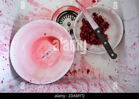 Cerise, cerises, fabrication de confiture de charry Banque D'Images