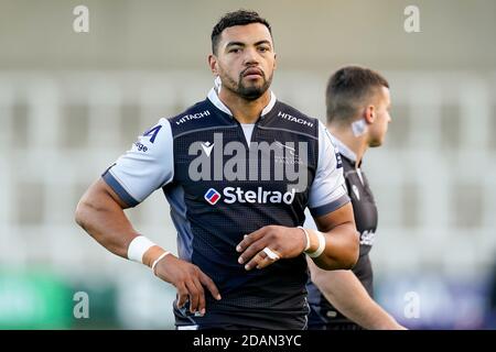 Kenton Bank foot, Royaume-Uni. 07e juillet 2020. Luther BURRELL (13) de Newcastle Falcons lors du match amical entre Newcastle Falcons et Ealing Trailfinders à Kingston Park, Kenton Bank foot, Newcastle, Angleterre, le 13 novembre 2020. Photo de David Horn. Crédit : Prime Media Images/Alamy Live News Banque D'Images