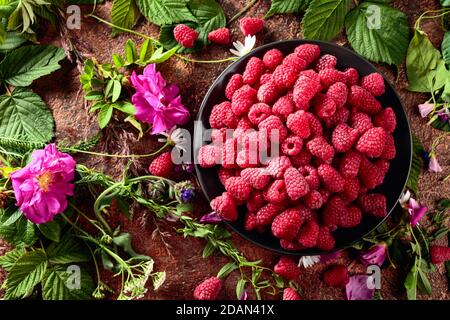 Framboises fraîches juteuses sur une assiette noire. L'été encore la vie avec, framboises, fleurs, et herbes de prairie. Vue du dessus. Banque D'Images