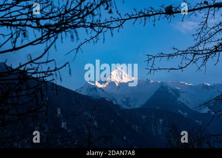 pic de montagne touché par la lumière du soleil vue à travers les branches Banque D'Images