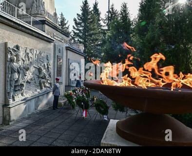 Baruth, Allemagne. 14 novembre 2020. Un incendie brûle sur le site de la guerre soviétique pour l'événement d'ouverture du Volksbund Deutsche Kriegsgräberfürsorge (Commission allemande des sépultures de guerre). Credit: Patrick Pleul/dpa-Zentralbild/dpa/Alay Live News Banque D'Images