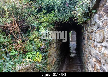 Tunnel hurlant (tunnel Dracula) Whitby, North Yorkshire, Royaume-Uni Banque D'Images