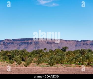 Prise de vue en grand angle des formations rocheuses et des palmiers pendant la journée dans la vallée de Draa, au Maroc Banque D'Images