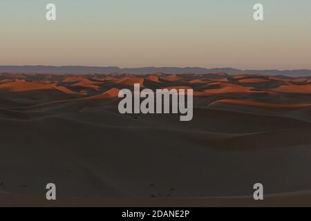 D'immenses dunes désertiques d'Erg Chigaga, aux portes du Sahara, al amanecer. Maroc. Concept de voyage et d'aventure. Banque D'Images