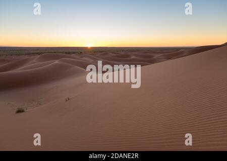 D'immenses dunes désertiques d'Erg Chigaga, aux portes du Sahara, al amanecer. Maroc. Concept de voyage et d'aventure. Banque D'Images