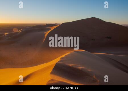 Tournage grand angle des dunes de sable du désert d'Erg Chigaga déplacé par le vent. Les portes du Sahara, au lever du soleil. Maroc. Concept de voyage et d'aventure Banque D'Images