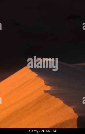 Gros plan des dunes de sable du désert d'Erg Chigaga déplacé par le vent. Les portes du Sahara, au lever du soleil. Maroc. Concept de voyage et d'aventure Banque D'Images