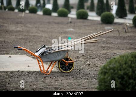 Brouette avec outils de jardinage (pelles, râteaux) sur le site d'une plantation d'arbres. Banque D'Images