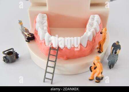 les personnes miniatures pour réparer une dent ou un petit ouvrier de figure nettoyant le modèle de dent comme médical et de soins de santé. nettoyage de soins dentaires ou concept de dentiste. Banque D'Images