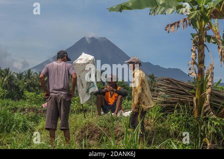 Sleman, YOGYAKARTA, INDONÉSIE. 14 novembre 2020. Les agriculteurs discutent des champs de riz avec les antécédents du mont Merapi à Pakem, Sleman, Yogyakarta Indonésie, le mercredi 14 novembre 2020. Le 5 novembre 2020, le Centre de recherche et de développement sur les technologies géologiques en cas de catastrophe (BPPTKG) a amélioré le statut du mont Merapi, passant du niveau d'alerte au niveau d'alerte. Le BPPTKG a informé que la déformation de Babadan avec la mesure électronique de distance (EDM) est de 13 cm par jour. Les autorités indonésiennes ont commencé vendredi à évacuer les populations vivant sur les pentes fertiles du volcan, après une augmentation de l'activité volcanique. (Image de crédit : © Slamet Banque D'Images