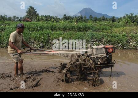 Sleman, YOGYAKARTA, INDONÉSIE. 14 novembre 2020. Un agriculteur cultive un champ avec le fond du mont Merapi à Pakem, Sleman, Yogyakarta Indonésie, le mercredi 14 novembre 2020. Le 5 novembre 2020, le Centre de recherche et de développement sur les technologies géologiques en cas de catastrophe (BPPTKG) a amélioré le statut du mont Merapi, passant du niveau d'alerte au niveau d'alerte. Le BPPTKG a informé que la déformation de Babadan avec la mesure électronique de distance (EDM) est de 13 cm par jour. Les autorités indonésiennes ont commencé vendredi à évacuer les populations vivant sur les pentes fertiles du volcan, après une augmentation de l'activité volcanique. (Credit image: © Slamet Riya Banque D'Images