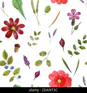 Motif coloré sans couture avec fleurs et herbes de prairie aquarelle Banque D'Images