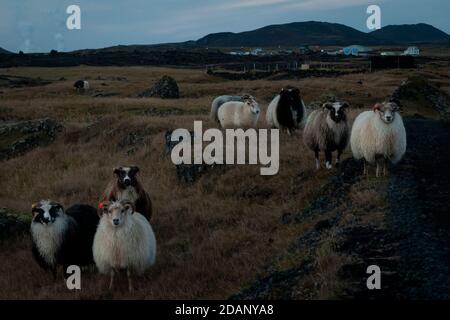 grindavik Banque D'Images