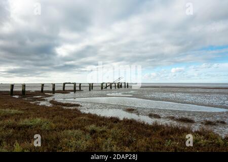 Les ruines de la jetée en bois utilisée pour charger des bateaux à transporter dans le pays pour faire des pistes de la Seconde Guerre mondiale, RSPB Snettisham Beach, Norf Banque D'Images