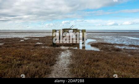 Les ruines de la jetée en bois utilisée pour charger des bateaux à transporter dans le pays pour faire des pistes de la Seconde Guerre mondiale, RSPB Snettisham Beach, Norf Banque D'Images