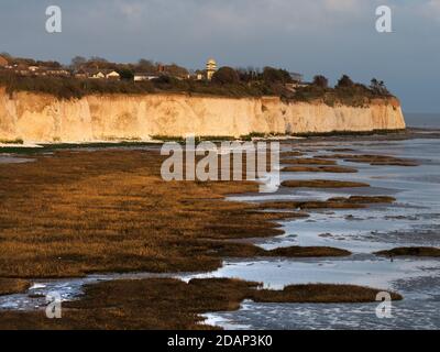 Côte des Chalkland, Pegwell Bay, Ramsgate, KENT, Royaume-Uni, coucher de soleil, avec des méplats de boue et un habitat de marais salants Banque D'Images