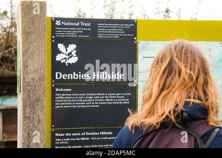 Affichage de la lecture féminine panneau d'information pour Denbies Hillside, National Trust site, Surrey Hills, Angleterre, Royaume-Uni, automne 2020 Banque D'Images