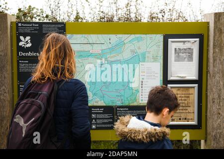 Affichage de la lecture féminine panneau d'information pour Denbies Hillside, National Trust site, Surrey Hills, Angleterre, Royaume-Uni, automne 2020 Banque D'Images