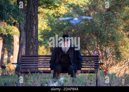 Timisoara, Roumanie - 10 octobre 2020 : homme assis sur un banc dans un parc. De vraies personnes. Pigeons en mouvement. Banque D'Images