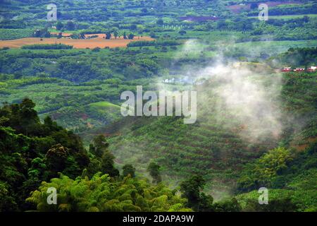 Collines couvertes dans les plantations de café et de banane près de Buenavista, Antioquia, Colombie Banque D'Images