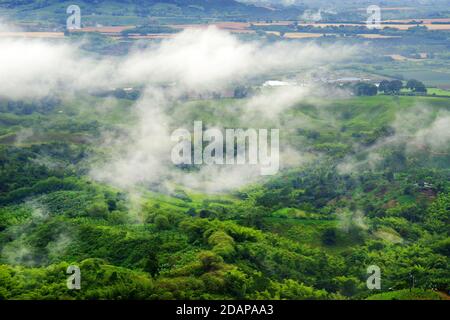 Collines couvertes dans les plantations de café et de banane près de Buenavista, Antioquia, Colombie Banque D'Images