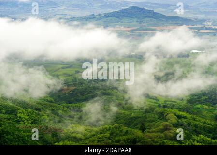 Collines couvertes dans les plantations de café et de banane près de Buenavista, Antioquia, Colombie Banque D'Images