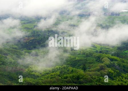 Collines couvertes dans les plantations de café et de banane près de Buenavista, Antioquia, Colombie Banque D'Images