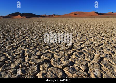 Sel et argile dans le parc national Namib Naukluft avec les dunes de Sossusvlei en arrière-plan (Namib, Namibie) Banque D'Images