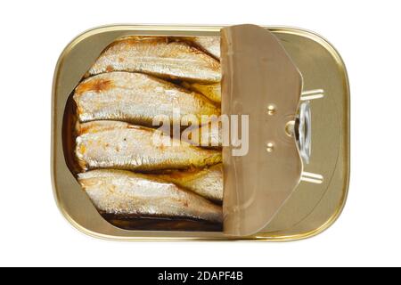 Boîte de sardines isolée sur fond blanc Banque D'Images